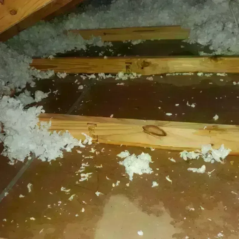 Attic Water Damage in Gibson, AR